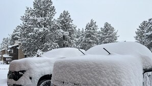 Ein mit Schnee bedecktes Auto parkt auf einer Auffahrt, im Hintergrund ist ein Haus zu sehen.