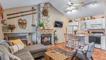 Smart TV, fireplace, books