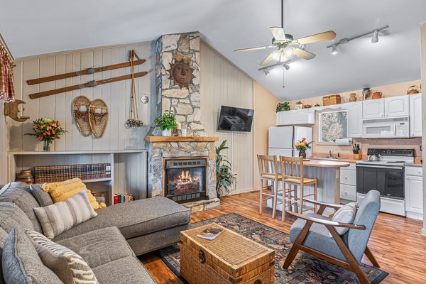 Smart TV, fireplace, books