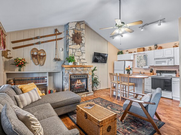 Smart TV, fireplace, books