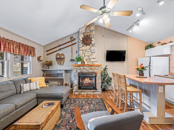 TV connectée, cheminée, livres