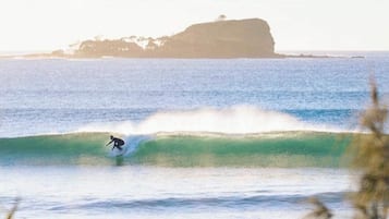 Plage à proximité, chaises longues, serviettes de plage