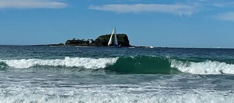 Little Fern House a Tropical Beach Hideaway Mudjimba, Sunshine Coast 🛫 5 mins
