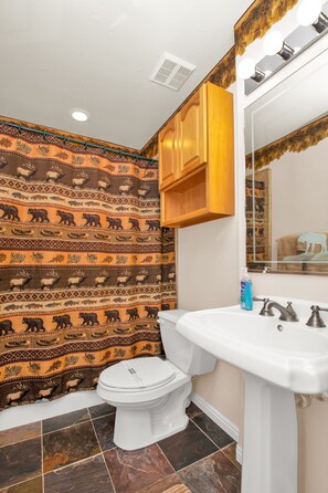 Combined shower/tub, hair dryer, towels, soap
