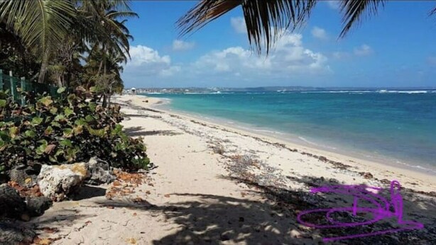 A beach with clear turquoise water, sandy shore, and palm trees. - 1 Bedroom Apartment in Le Moule (Le Moule)