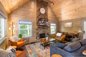 Televisión, chimenea y reproductor de DVD 