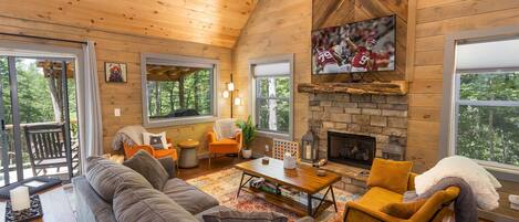 TV, fireplace, DVD player