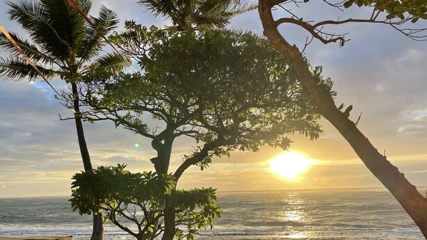 A beach scene with a sunset, palm trees, and ocean waves. - Beautiful Studio By The Beach! 1BR (Kapaʻa)