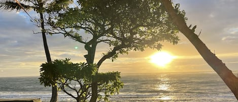 Nära stranden och strandhanddukar