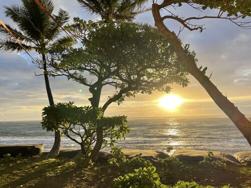 Beautiful Studio By The Beach! 1BR