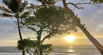 Beautiful Studio By The Beach! 1BR