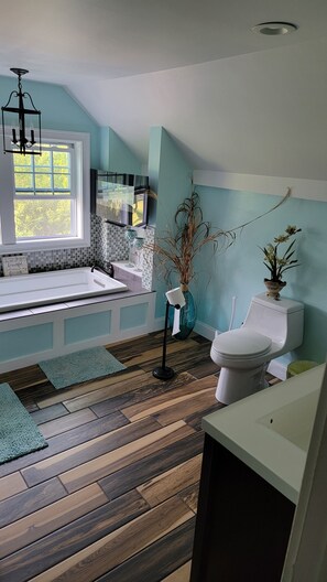 Combined shower/tub, hair dryer, soap, toilet paper
