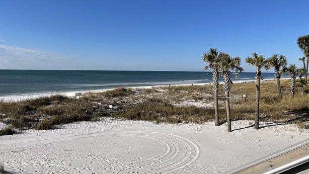 A beach with palm trees, a sandy path, and a view of the ocean. - Family Friendly, Close to Beach and Shops (Destin)