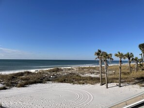 Ein Strand mit Palmen, einem Sandweg und Blick auf den Ozean.