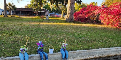 Serenity at the Lake