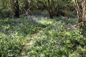 Miscellaneous - 1 Bedroom Apartment Sleeps 2 - Pets Welcome - Tv (Copthorne)