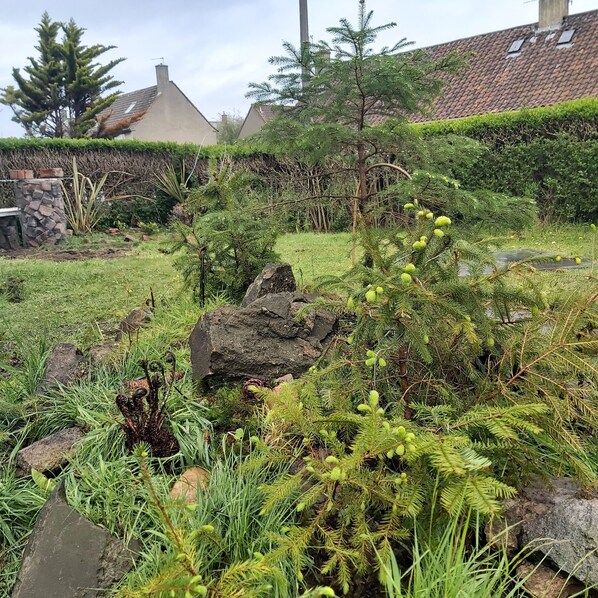 Property grounds - House next to big shopping centre spacious (Edinburgh)