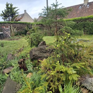 Stroll through a serene garden surrounded by lush plants and a neatly trimmed hedge.