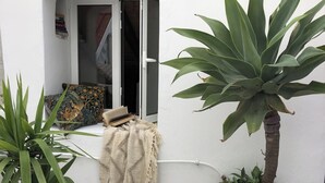 A white building with a window, a door, and a large plant in front. - Studio Sleeps 2 with Free Parking (Mexilhoeira Grande)