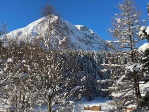 Miscellaneous - Apartment W2 Haus Ganghofer with Mountain View, Shared Terrace & Wi-Fi (Leutasch)