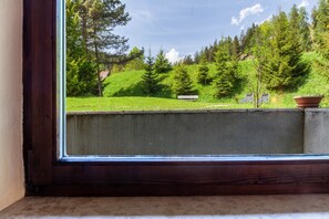 Interior - Apartment W3 Haus Ganghofer with Mountian View, Shared Terrace & Wi-Fi (Leutasch)