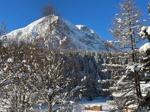 Miscellaneous - Apartment W5 Haus Ganghofer with Mountain View, Patio & Wi-Fi (Leutasch)