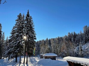 Ein verschneiter Wald mit blauem Himmel, eine große Nadelbaum und ein mit Schnee bedecktes Holzgebäude.