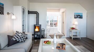 TV, fireplace, video games, DVD player