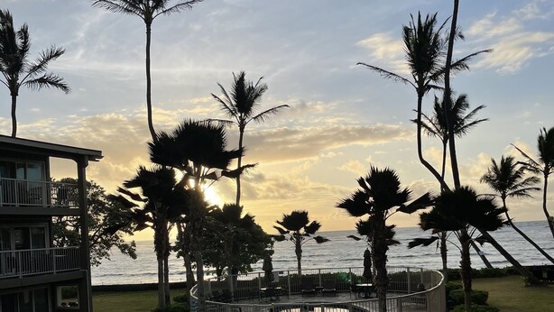 A beachfront property with a pool, palm trees, and a view of the ocean.