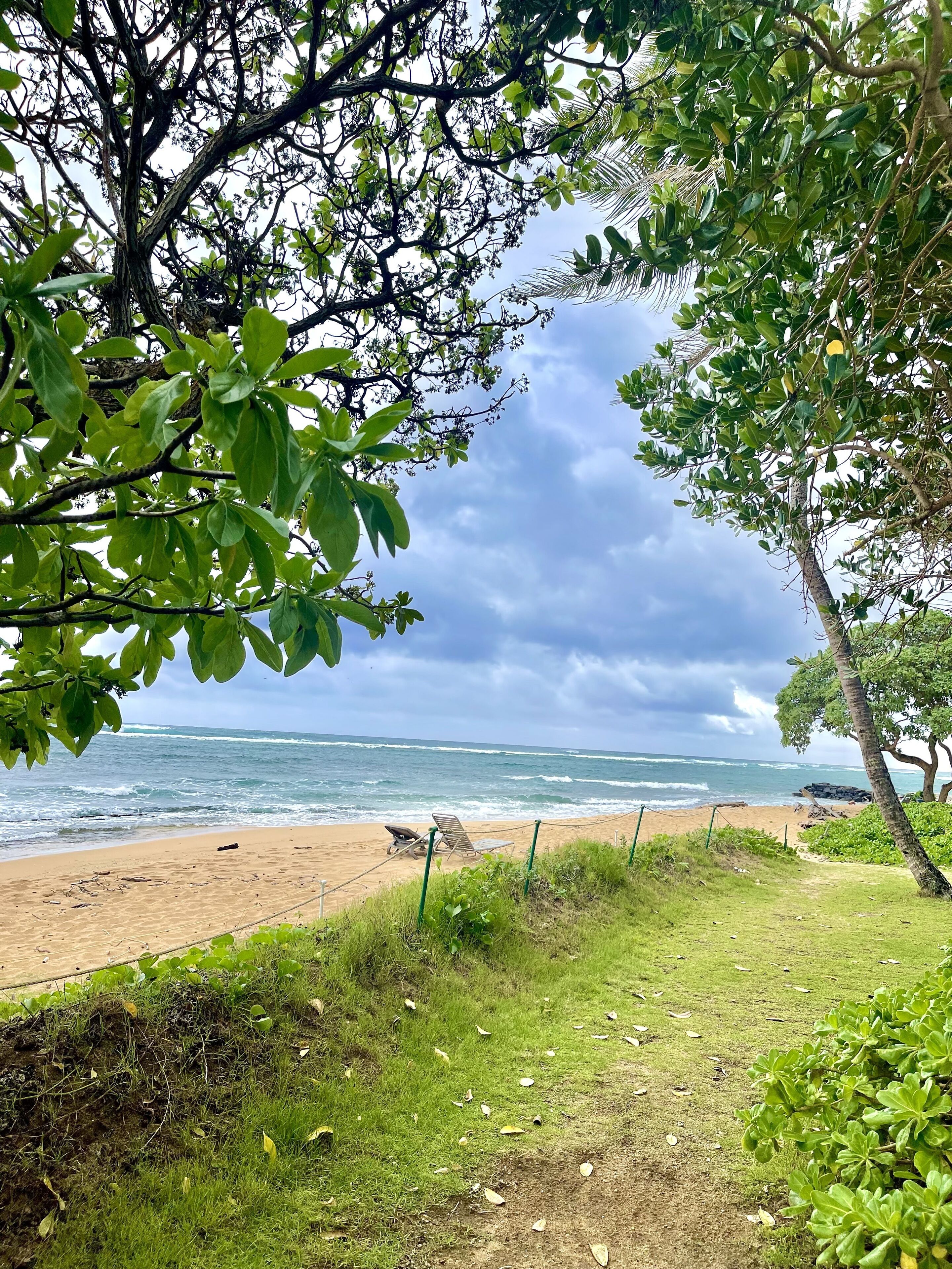 Beach nearby, beach towels