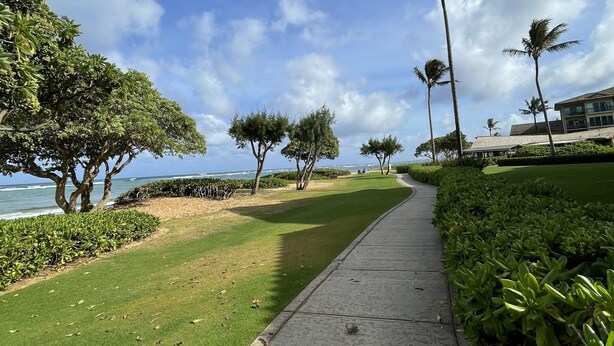A pathway lined with trees and a view of the ocean. - Cozy Studio By The Beach! 1BR (Kapaʻa)