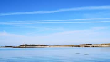 Nära stranden