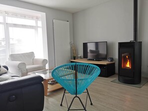 TV connectée, cheminée, livres