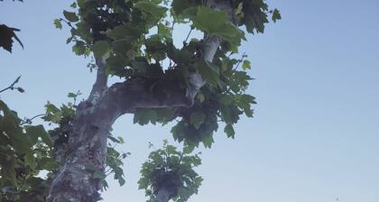 Studio bel emplacement au coeur du village, rénnové