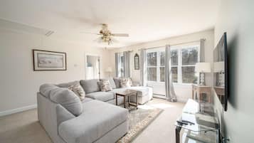 Televisor, llar de foc, Netflix i Hulu