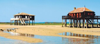 Charming 2BR Apt in Central Arcachon - Beach, Shops & Train Nearby