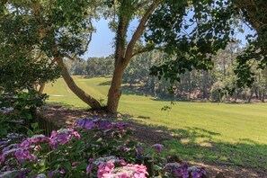 Jardines del alojamiento