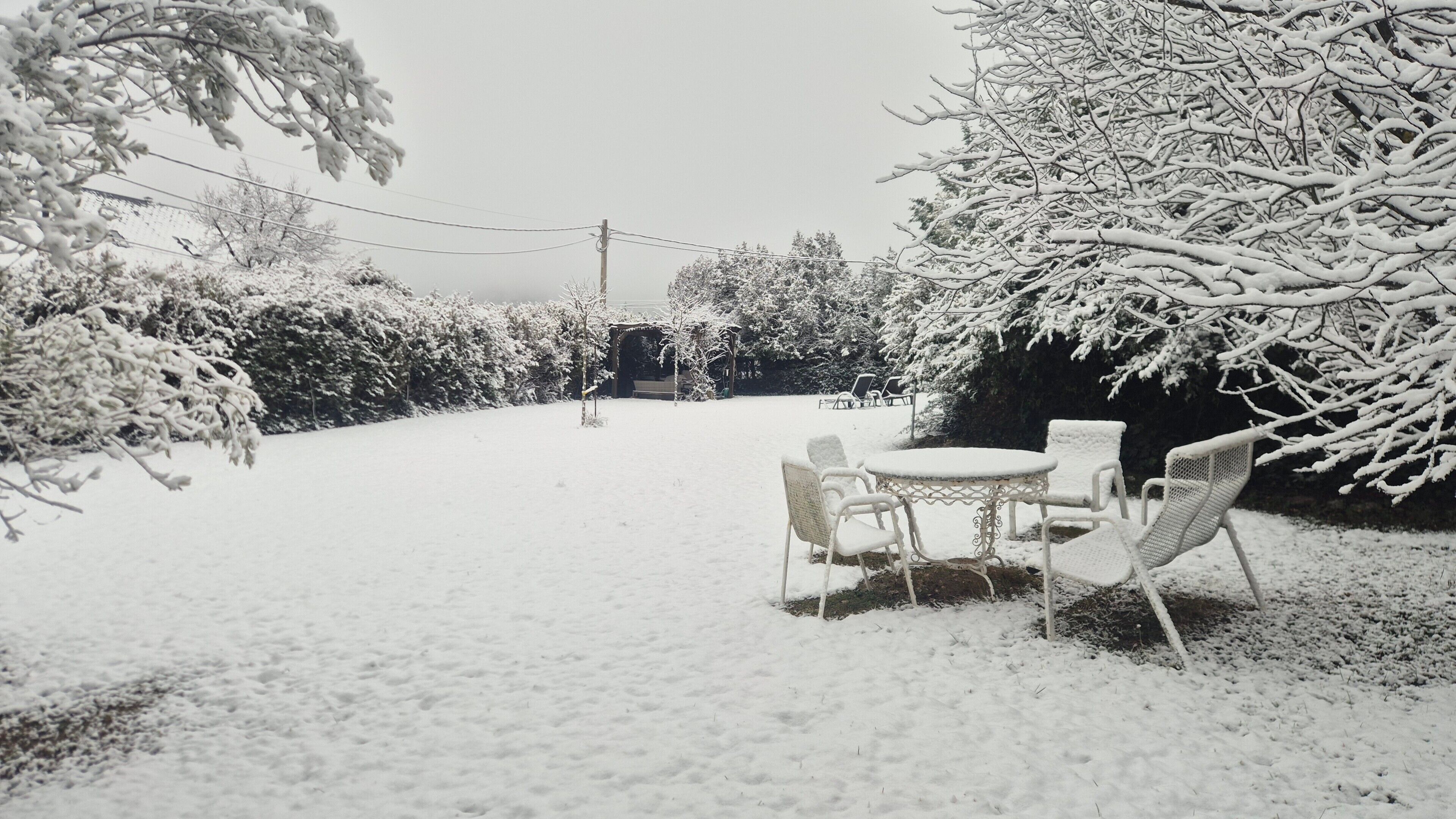 Un espacio exterior cubierto de nieve con una mesa y sillas, rodeado de árboles y arbustos cargados de nieve.