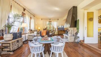 Tv, eldstad, dvd-spelare och en stereo