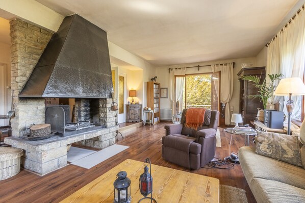 Televisor, llar de foc, reproductor de DVD i estèreo