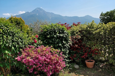 Property grounds. Apartment 'Casa vacanze al Boschetto' with Terrace and Wi-Fi