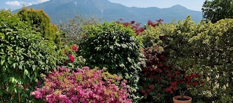 Apartment 'Casa vacanze al Boschetto' with Terrace and Wi-Fi