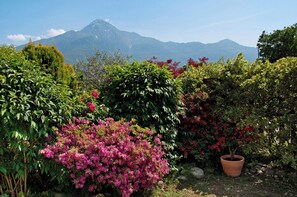 Property grounds - Apartment 'Casa vacanze al Boschetto' with Terrace & Wi-Fi (La Punta)