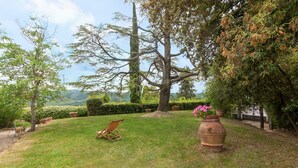 Un espace extérieur verdoyant avec une chaise en bois, un grand arbre et un pot de fleurs.