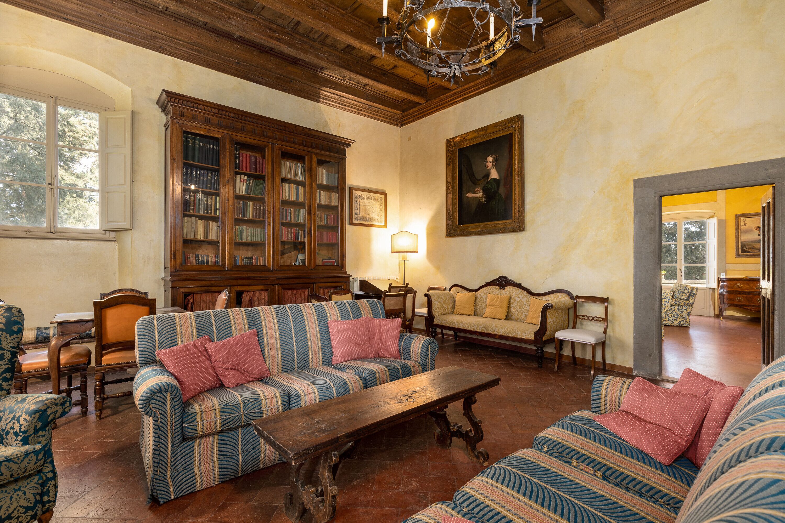 TV, fireplace, table tennis