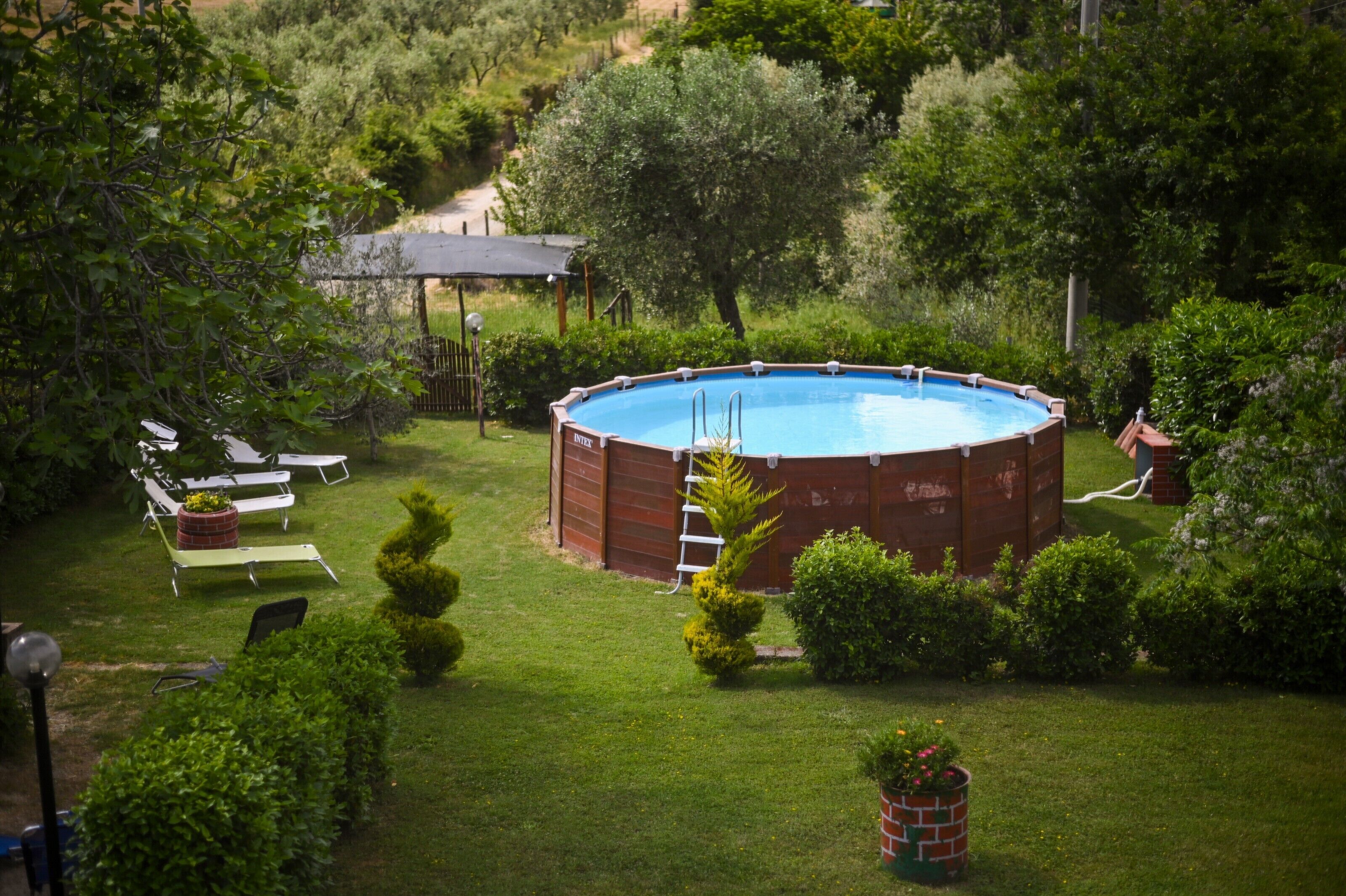 Una piscina circular rodeada de un césped cuidado y diversas plantas.