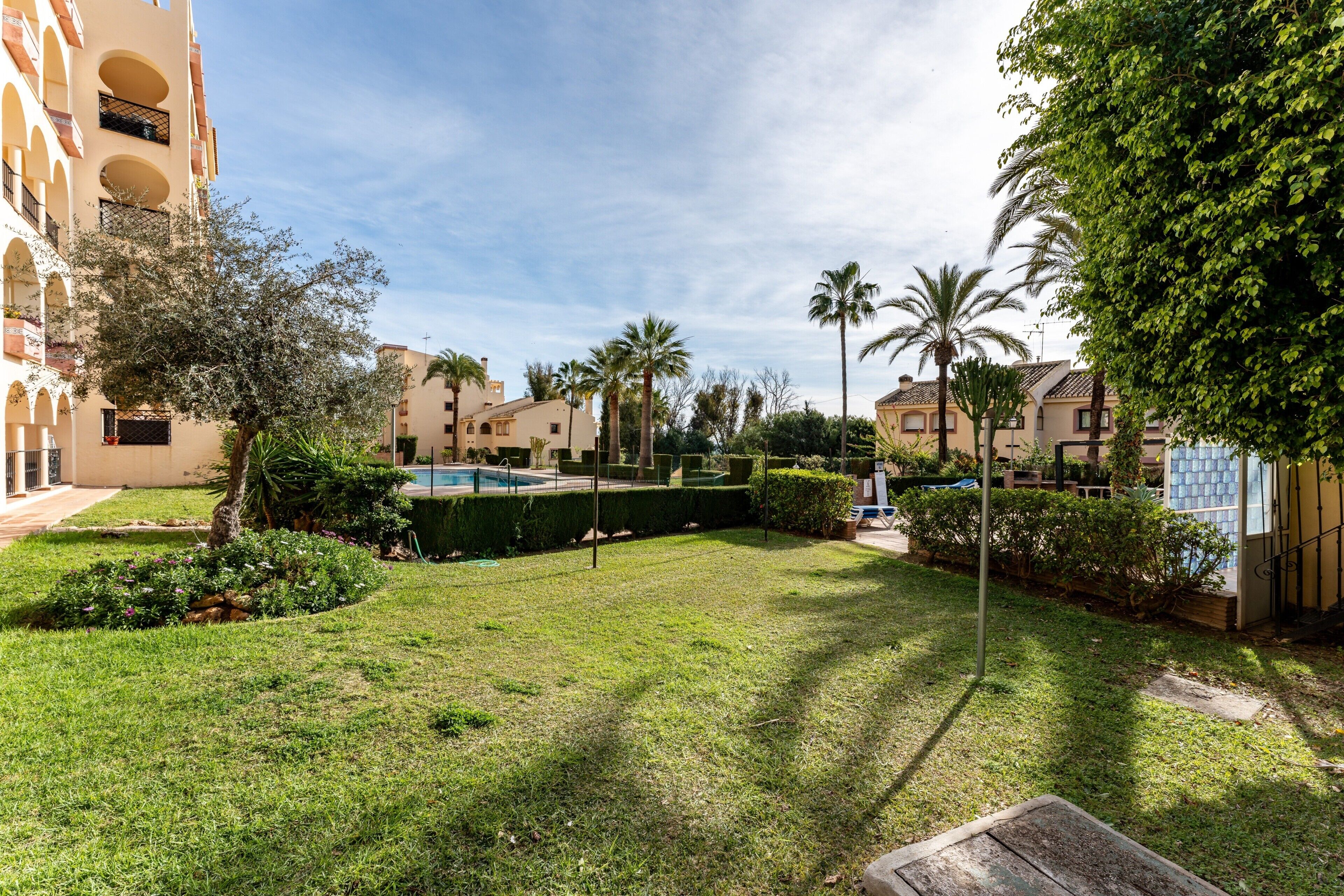 A courtyard with a swimming pool, palm trees, and a building with balconies.