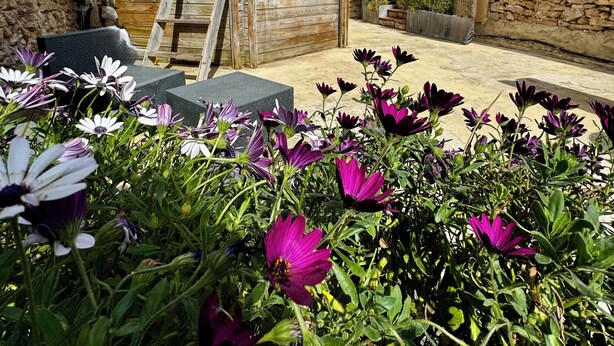 Ein Steinhaus mit einer Holztreppe, einem kleinen Balkon und einem Garten mit violetten Blumen.
