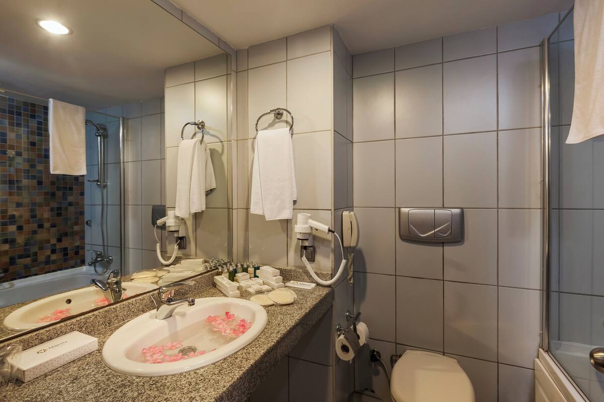 A modern bathroom with a granite countertop sink, a mirror, a handheld showerhead, and a toilet.