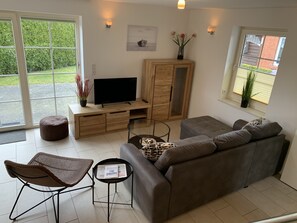 Smart TV, fireplace, books